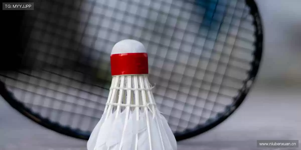 🔥热血赛事,一触即发!⚽🏀